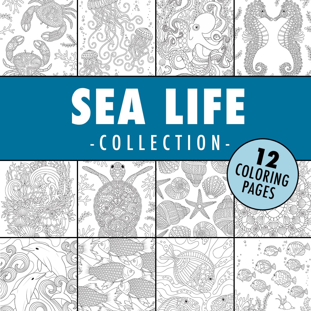 Sea life collection coloring pages