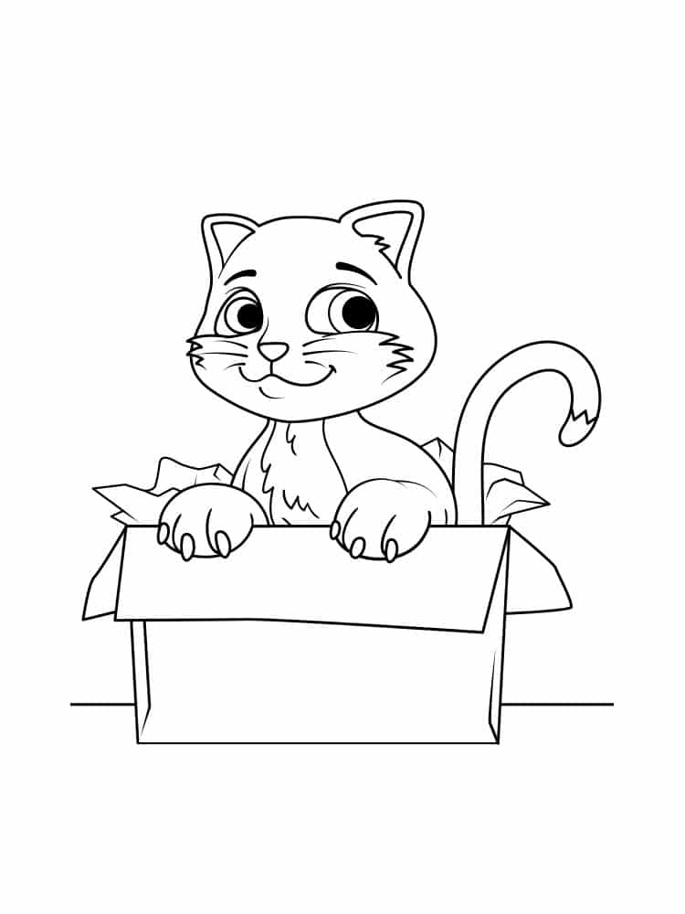 Cat in a box coloring page