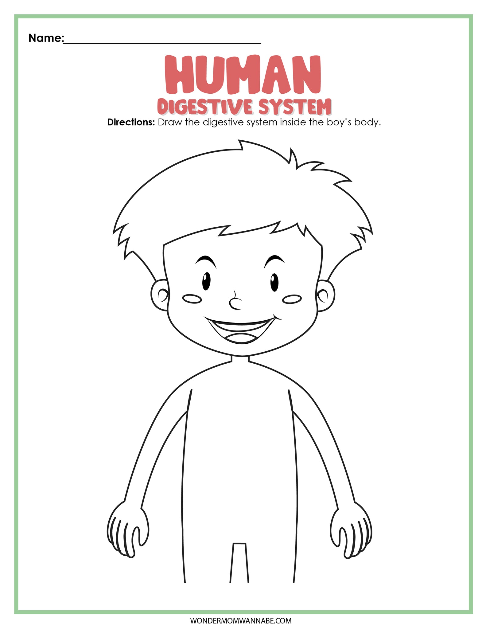 Digestive system activity set â