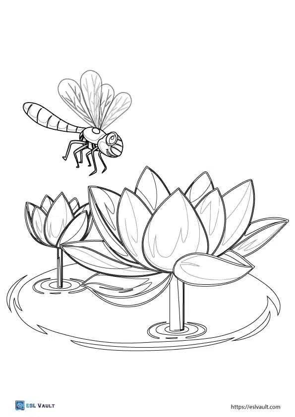 Beautiful dragonfly coloring pages