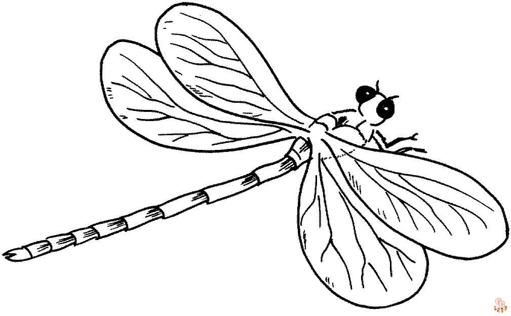 Dragonfly coloring pages printable and free for kids