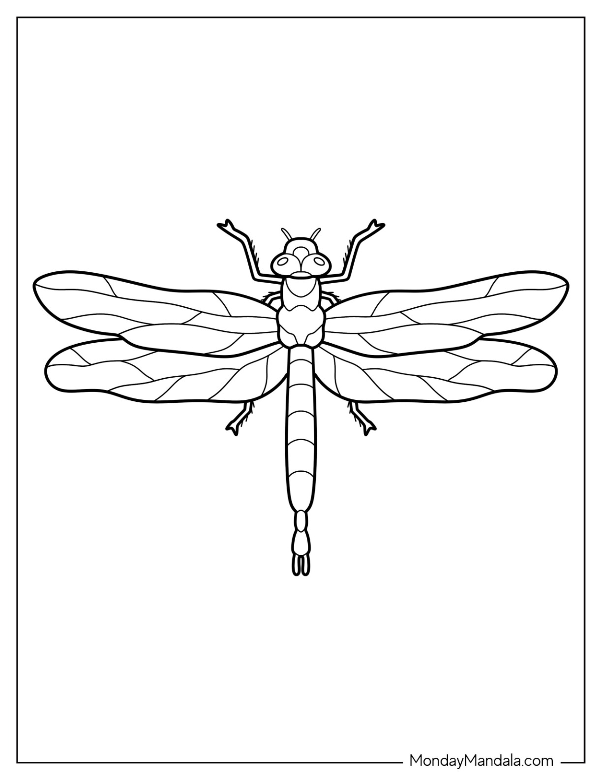 Dragonfly coloring pages free pdf printables