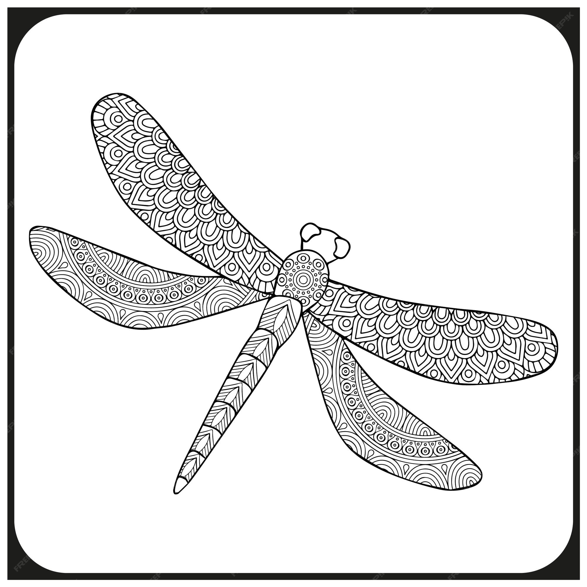Premium vector dragonfly coloring book for adults