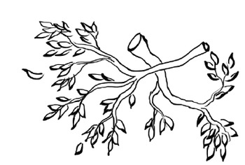 The giving tree booklet