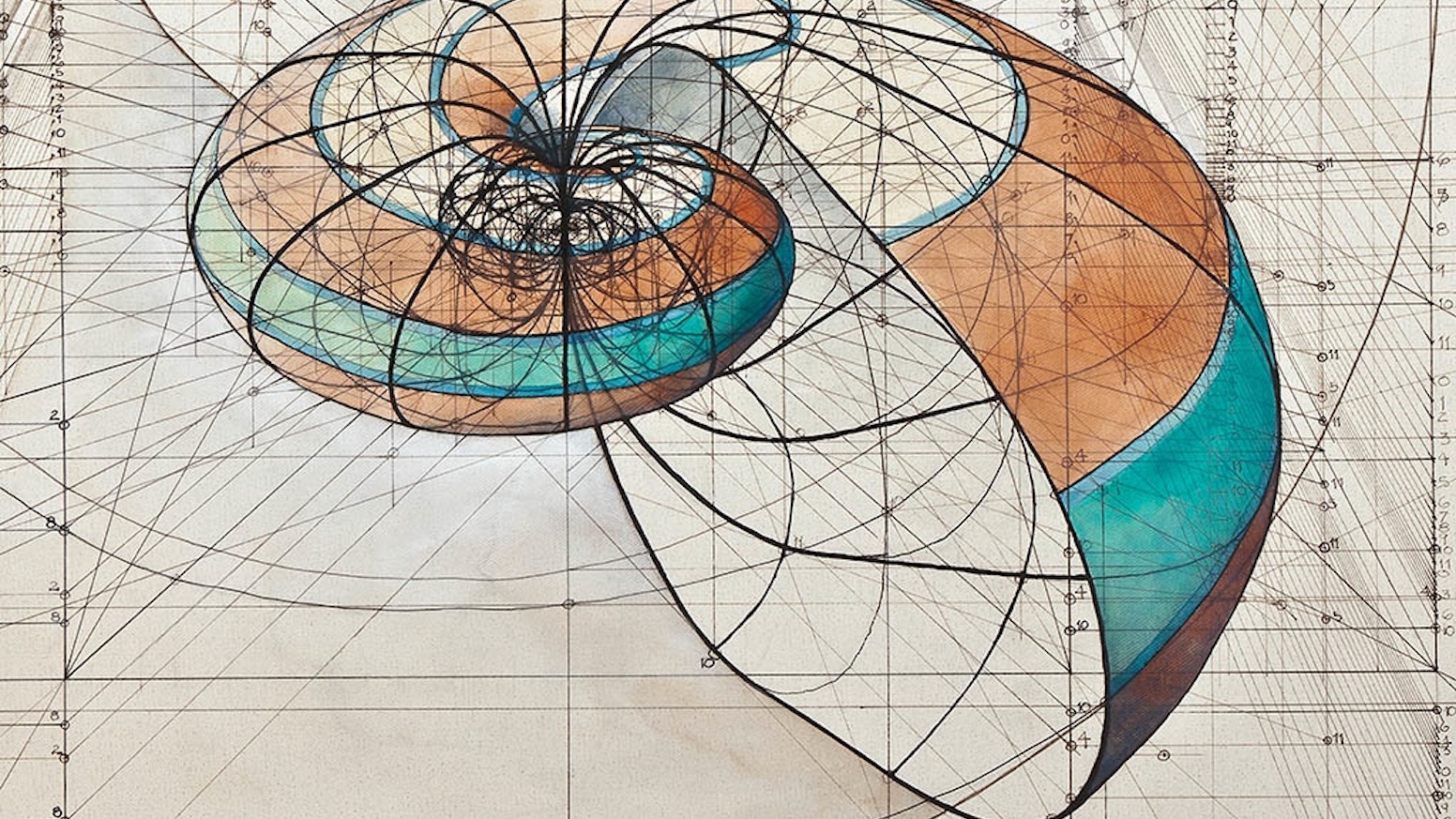 Golden ratio coloring book by rafael araujo â
