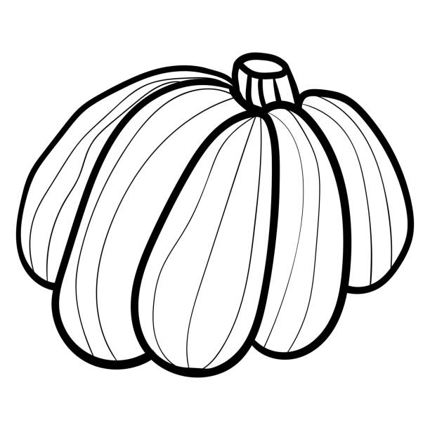 Big pumpkin coloring page adult and kids accessory for fort season is winter or fall warmth and fort vector vector illustration stock illustration