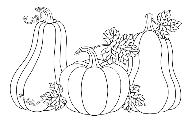 Premium vector vector coloring page happy halloween vector illustration cute pumpkins for your design for the holiday