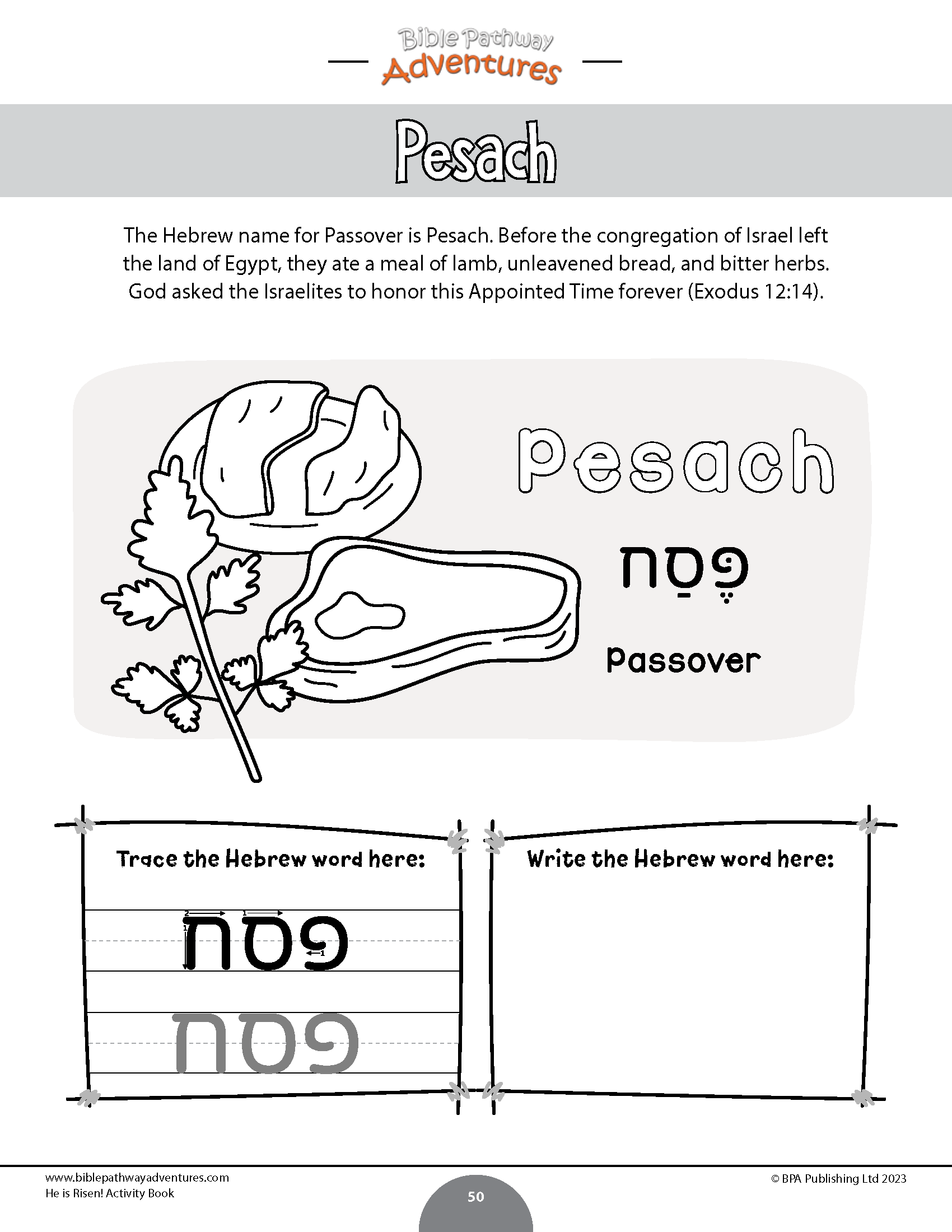 He is risen activity book pdf â bible pathway adventures