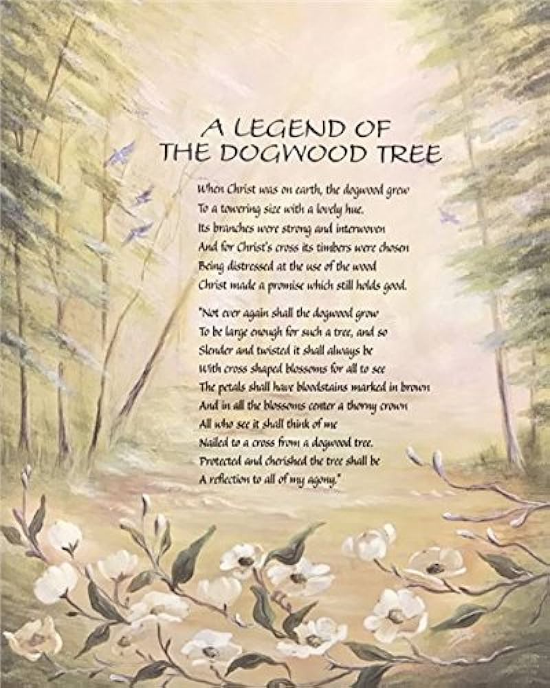 Unframed print a legend of the dogwood tree i prayerreligious