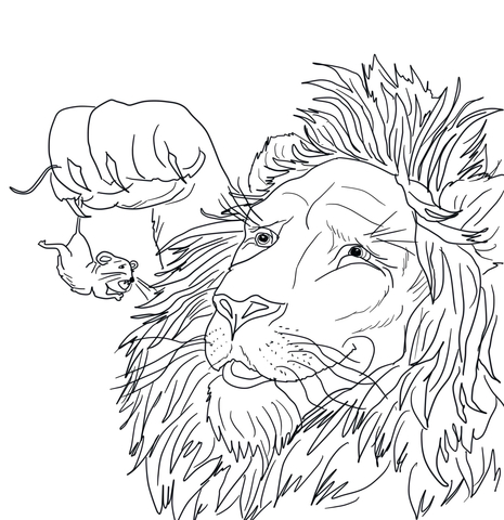 The big lion caught a tiny mouse coloring page free printable coloring pages