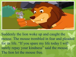 Story