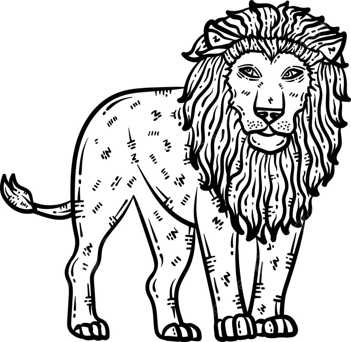 Lion animal coloring page for adult king coloring book zoo vector king coloring book zoo png and vector with transparent background for free download