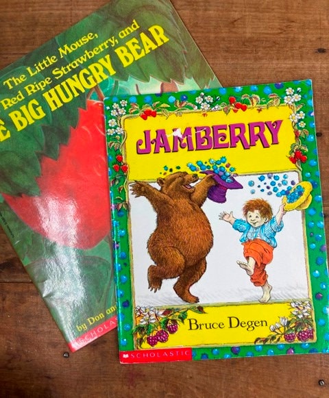 Jamberry by bruce degen the little mouse the red ripe strawberry and the big hungry bear by don and audrey wood picture book set