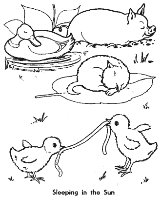 Little red hen coloring pages for kids