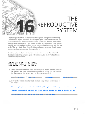 Ap coloring workbook the reproductive system