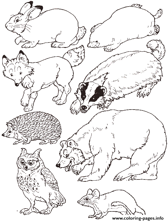 Mitten glove animals coloring page by jan brett coloring page printable