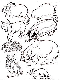Put the animals in the mitten