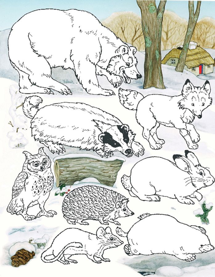 Animals from the mitten story andreaclasdoqasyls ownd