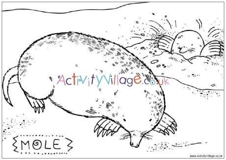 Mole louring page for kids