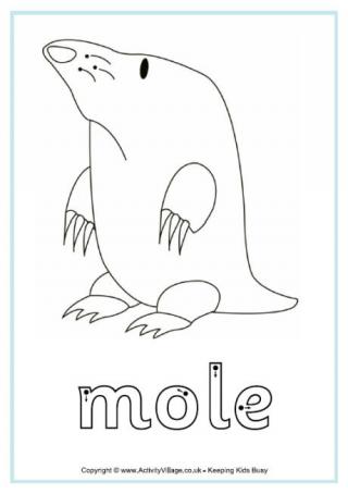 Mole worksheets