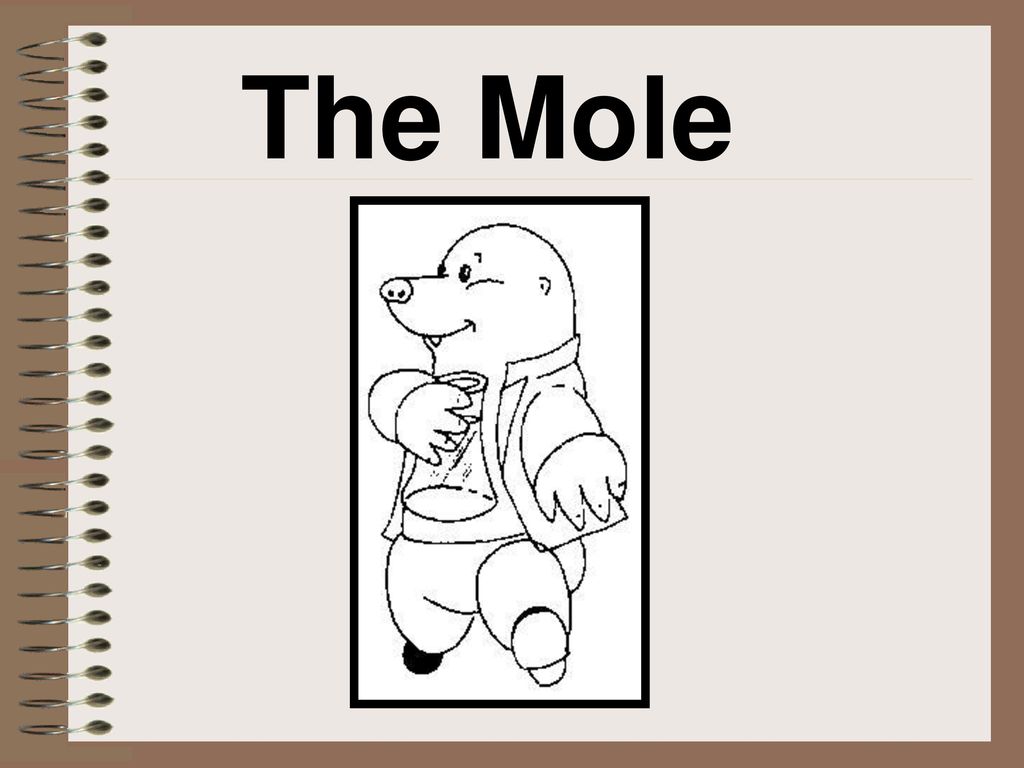 The mole