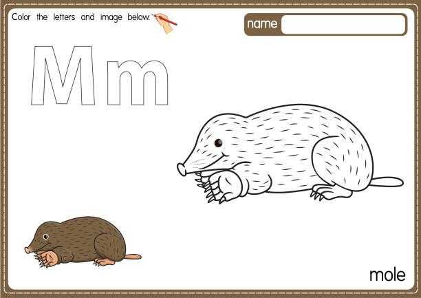 Mole coloring book stock photos pictures royalty