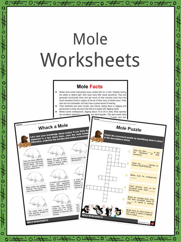 Mole facts worksheets