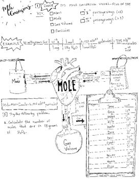 Stoichiometry map coloring sheet mole conversions cells worksheet teaching biology activities chemistry help