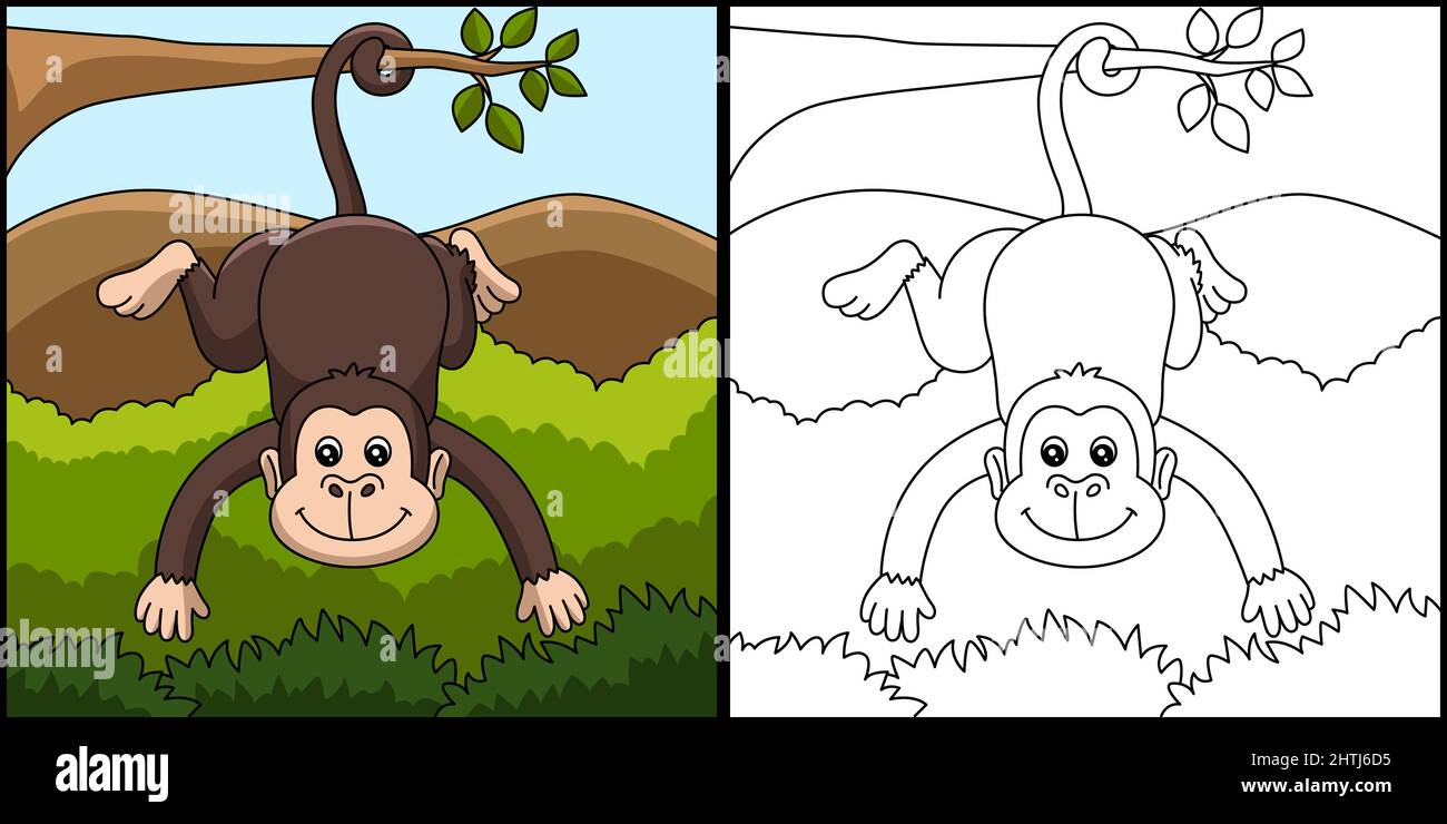 Monkey coloring page hi