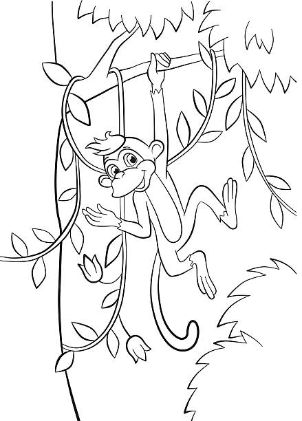 Monkey coloring pictures stock illustrations royalty