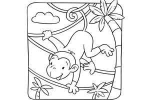 Monkeys