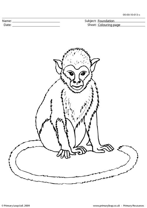 Foundation monkey louring page worksheet