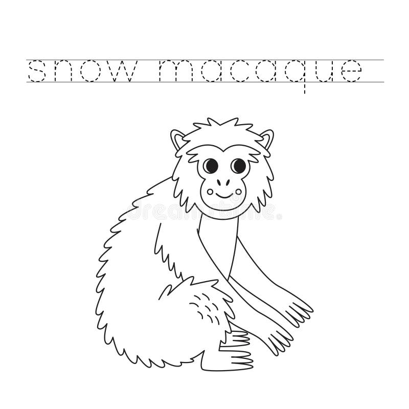 Monkey trace stock illustrations â monkey trace stock illustrations vectors clipart