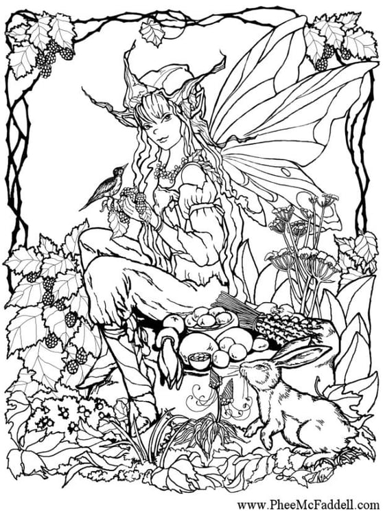 Coloring page fairyin the woods