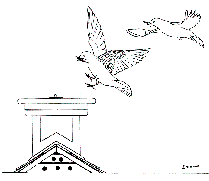 Coloring pages for kids