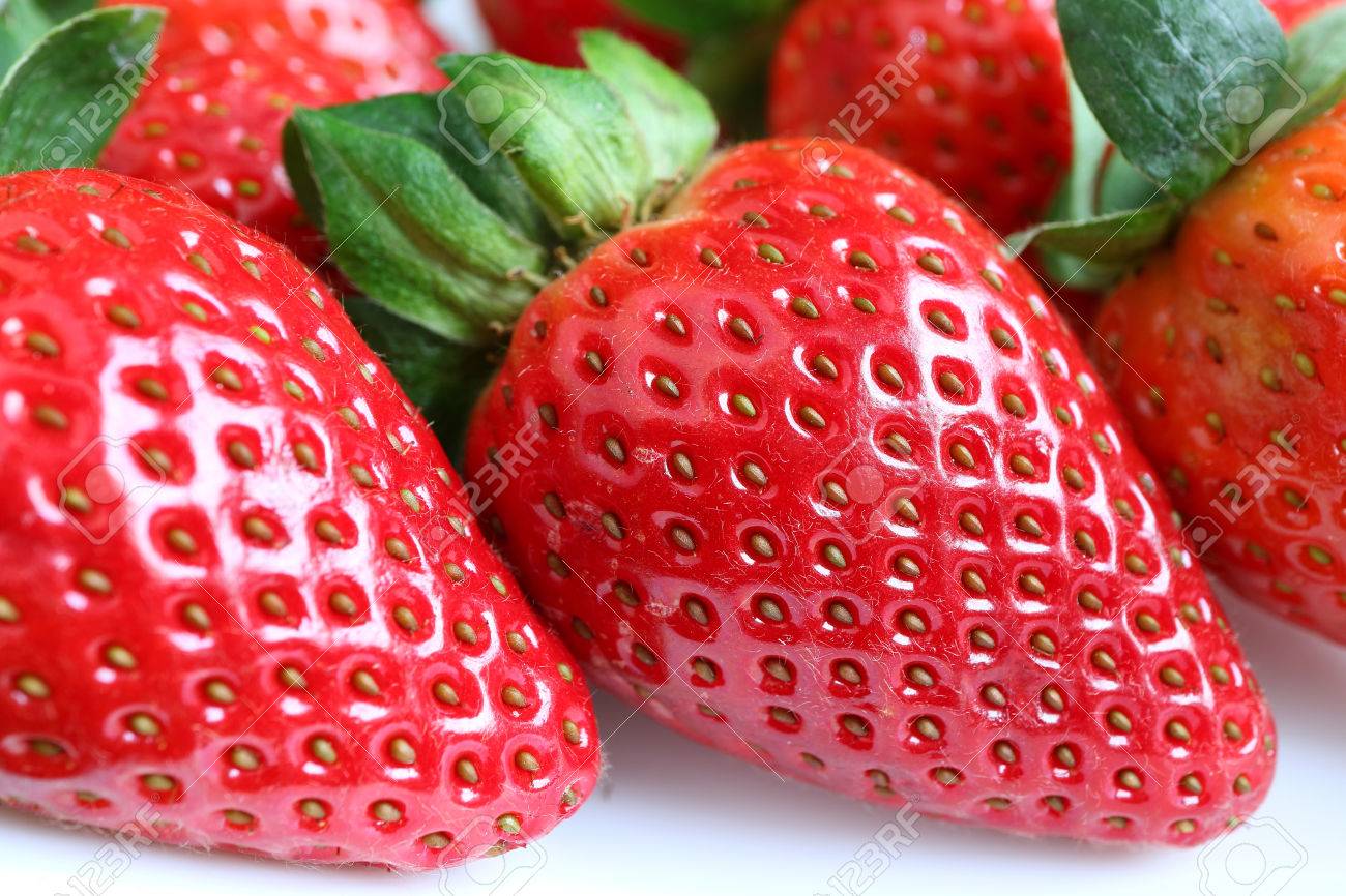 Closed up vibrant red color fresh ripe strawberry fruits isolated on white background stock photo picture and royalty free image image