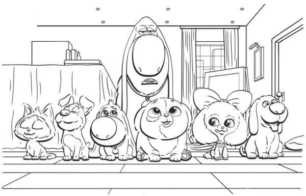 The secret life of pets coloring pages
