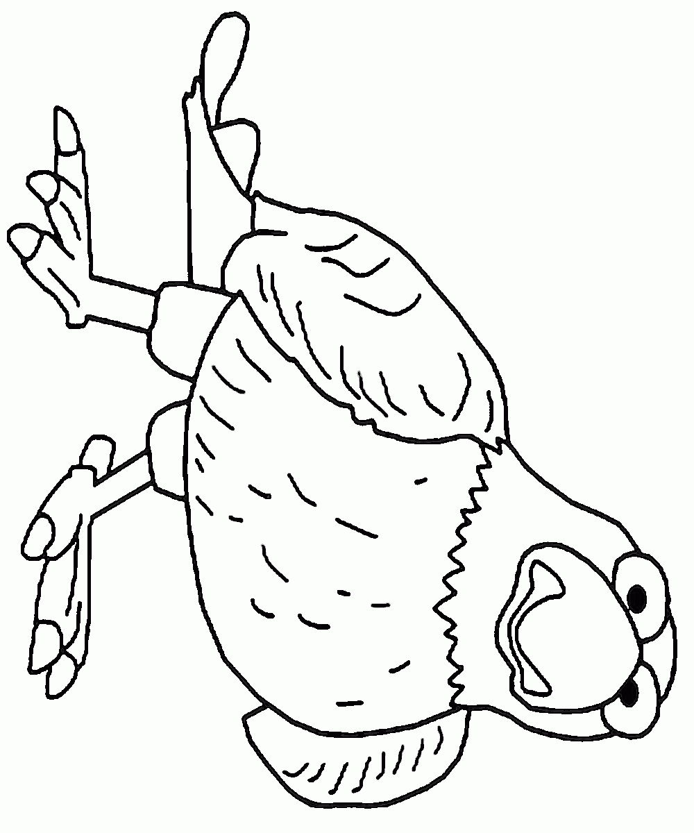 The secret life of pets coloring pages â birthday printable
