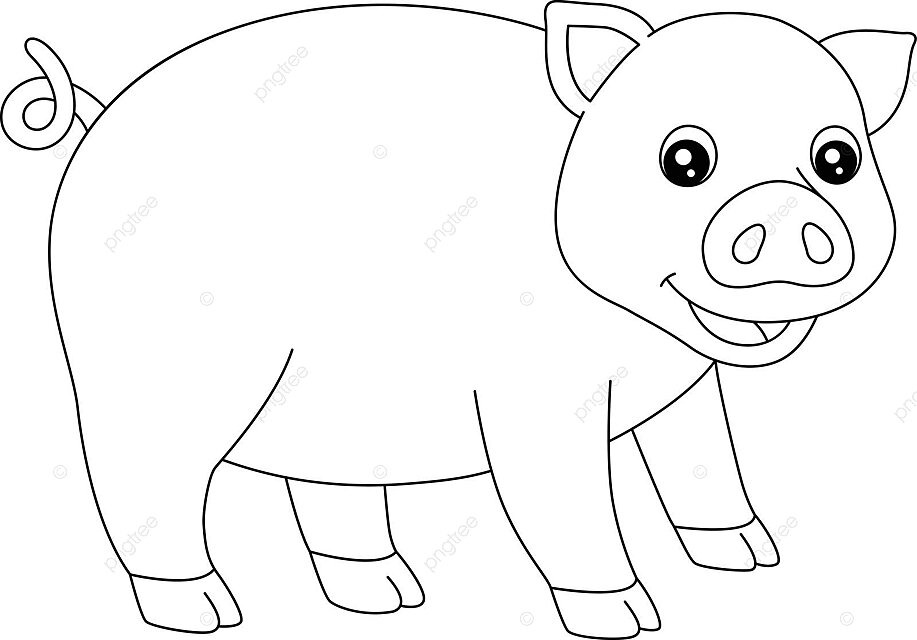 Pig coloring page isolated for kids toddler school small vector toddler school small png and vector with transparent background for free download