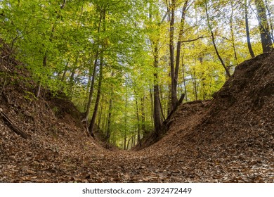 Natchez trace images stock photos d objects vectors