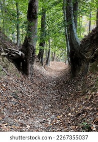 Old natchez trace images stock photos d objects vectors