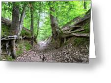 Sunken trace photograph by susan rissi tregoning