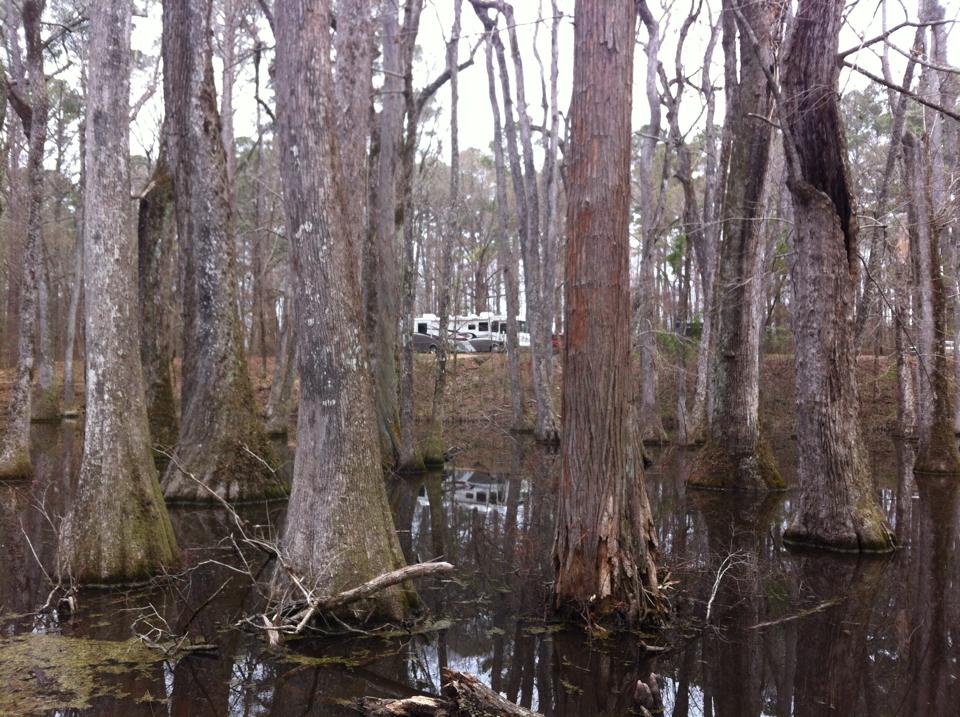 Natchez trace parkway guide from mile marker to