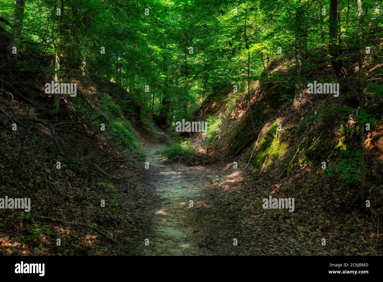 Old natchez trace hi