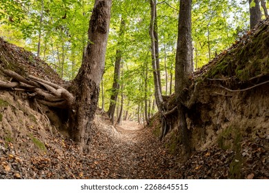 Natchez trace state park images stock photos d objects vectors