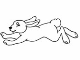 The tortoise and the hare coloring