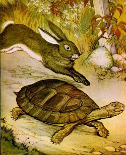 The tortoise and the hare fable preschool lesson plan printable activities and crafts