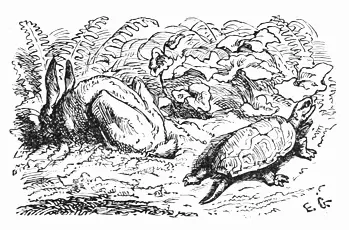 The hare and the tortoise