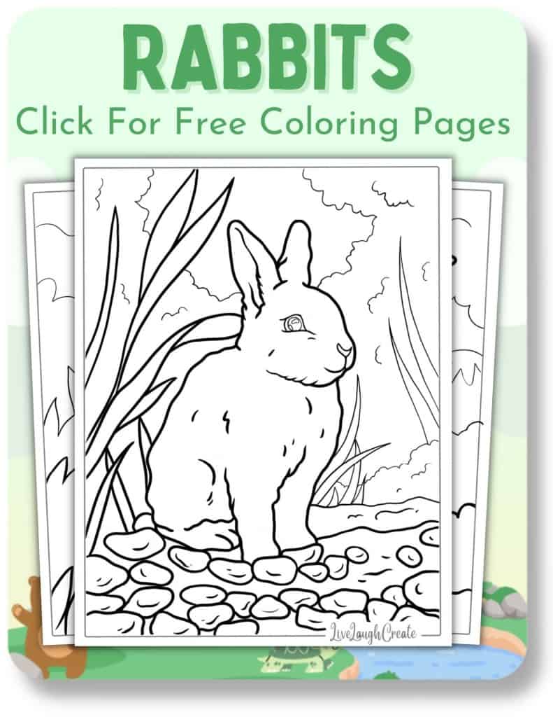 Animal coloring pages free pdf printables