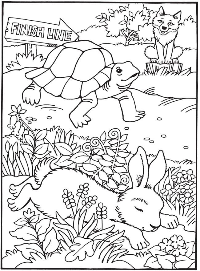Colorful and engaging coloring book the tortoise and the hare